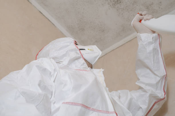 Best Residential Mold Removal  in West Liberty, IA